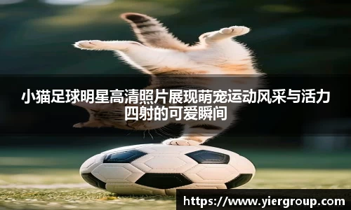 尊龙凯时人生就是搏!